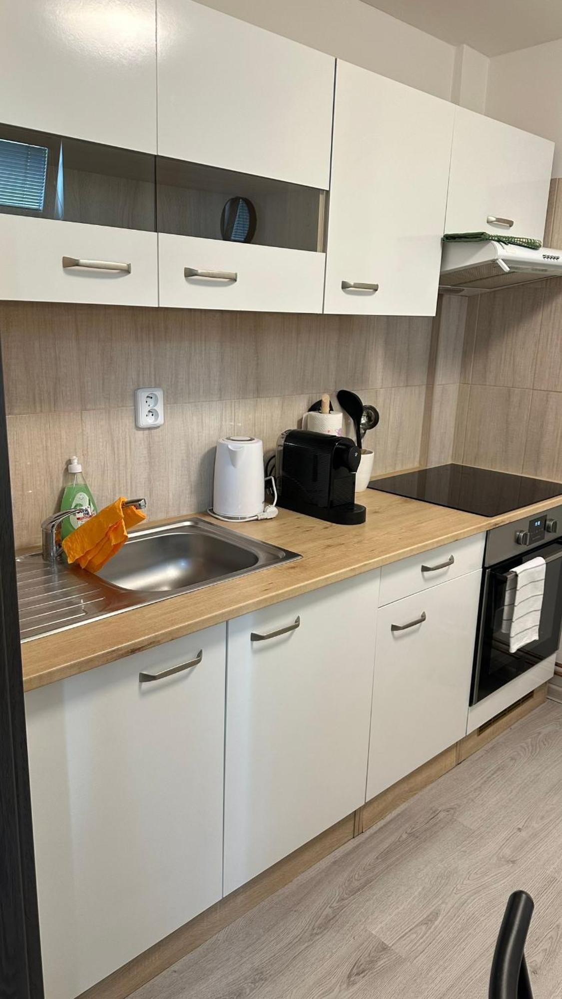 Apartmany Na Trojce Жатец Экстерьер фото
